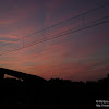 dsc04011.jpg