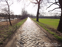 dsc07356.jpg