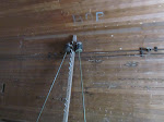 IMG_1624.jpg