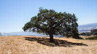 DSC04190.jpg
