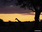 Etosha Nationalpark