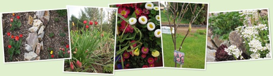 Wonnemonat Mai Bilder aus dem Garten anzeigen