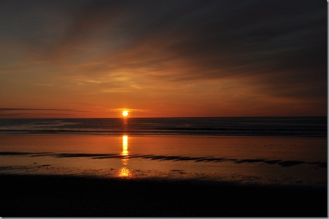 DSC_0474 DSC_0474