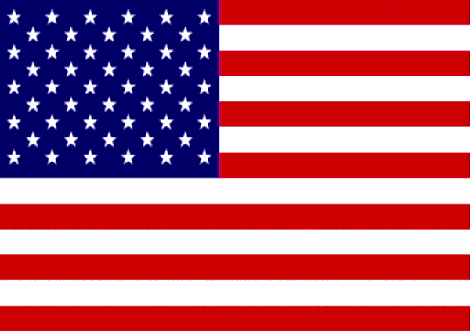 [american-flag%255B2%255D.gif]