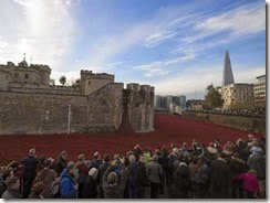 888,000 Poppies 888,000 Poppies
