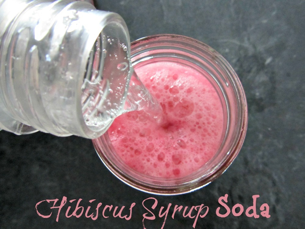 [Hibiscus-Soda-23.jpg]