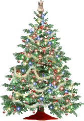 Árvore de Natal Árvore de Natal