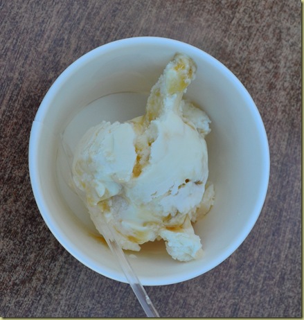 Icecream honey yogurt