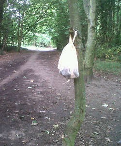 [dog%2520poo%2520fairy_web%255B5%255D.jpg]