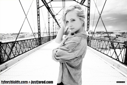 Candice Accola linda loira gata sensual  (48)