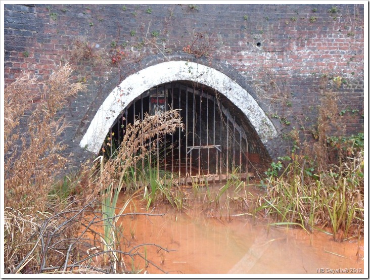 SAM_4298 Brindley Tunnel SAM_4298 Brindley Tunnel