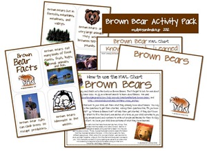 Brown Bear collage