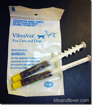 VibraVet Doxycycline paste