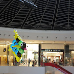 IMG_89992.jpg