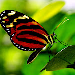 844305047_4dabd9c775_b.jpg