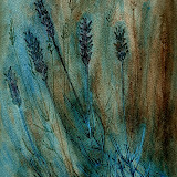 Lavender
Watercolour
12 x 9in
Aug 2011