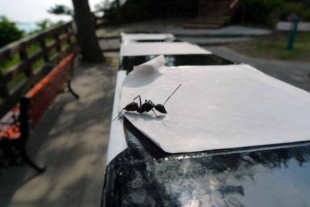20120518JEJU0159.jpg
