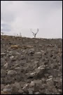 campo arato campo arato