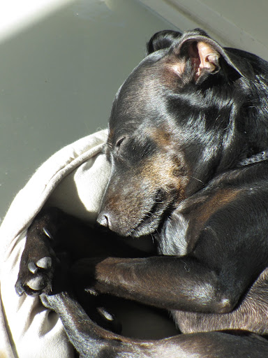 I'm thankful for warm sun and time to dream.