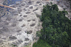 James Cameron, the Oscar-winning director, visited the area last year to lend his support to the anti-dam campaign. 'If this goes forward then every other hydroelectric project in the Amazon basin gets a blank cheque,' Cameron said. 'It's now a global issue. The Amazon rainforest is so big and so powerful a piece of the overall climate picture that its destruction will affect everyone.'
Photograph: Daniel Beltrá/Greenpeace