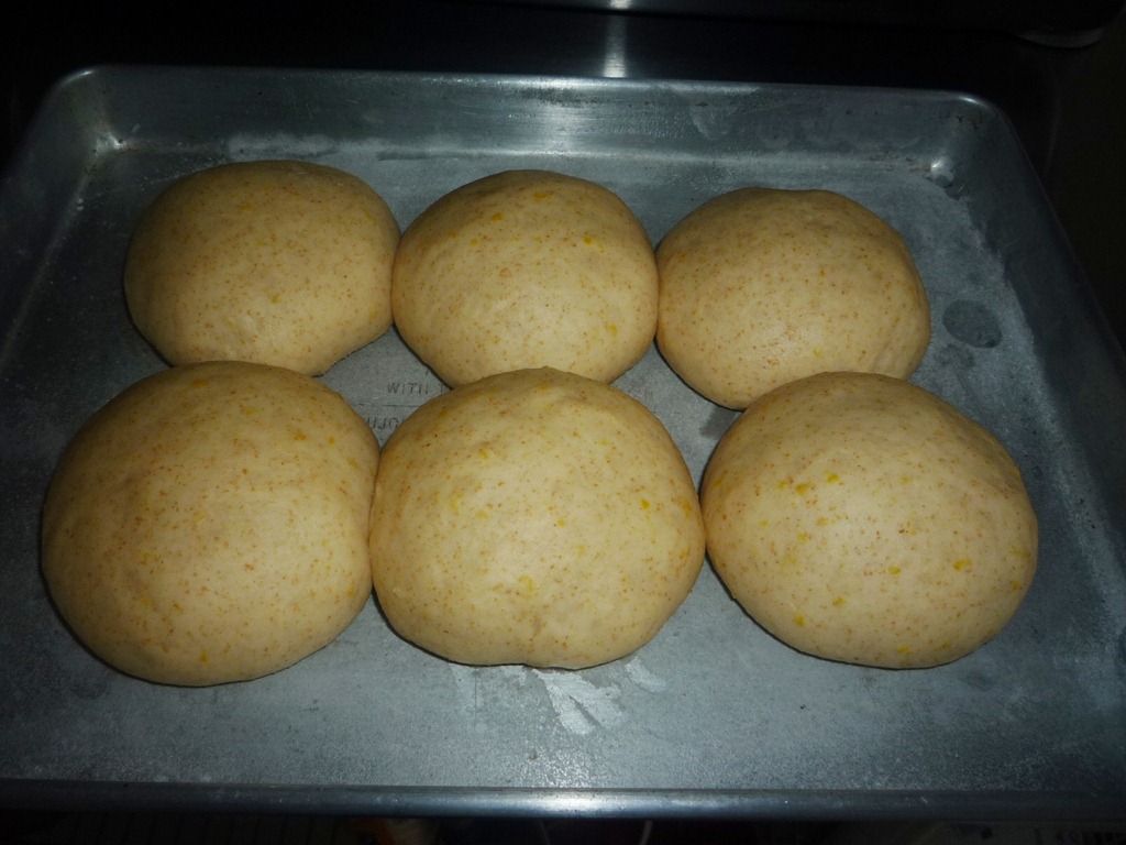 [P11308553.jpg]