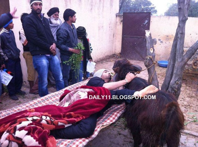 [diljit%2520in%2520jatt%2520and%2520juliet%2520punjabi%2520film%255B27%255D.jpg]
