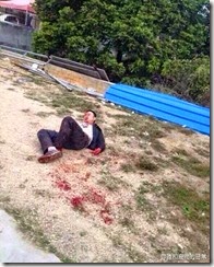 10390336_805838429482870_2586378008787225047_n