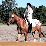 StockadeHorseShow