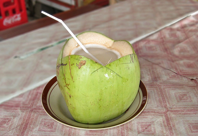 [Coconut_Drink%252C_Pangandaran%255B3%255D.jpg]