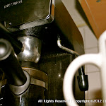 IMG_2958.jpg