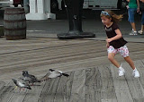 Lily chases pigeons.