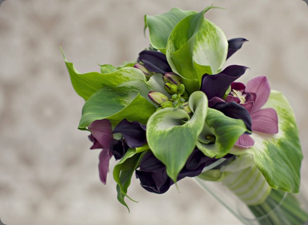 3 Rae Florae adorations