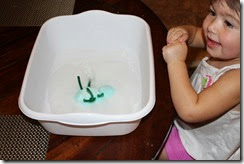 IMG_6097 IMG_6097