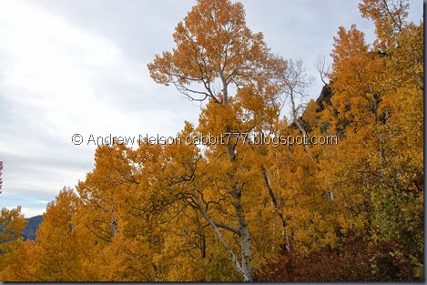 DSC_0007 DSC_0007