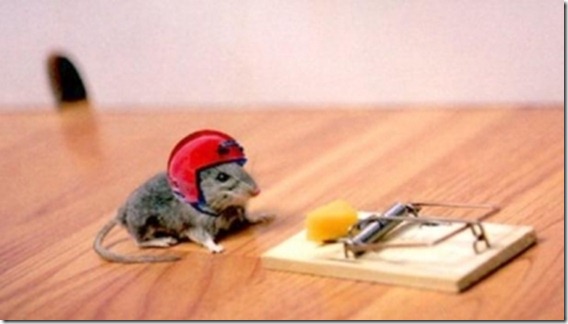 mouse-helmet.preview