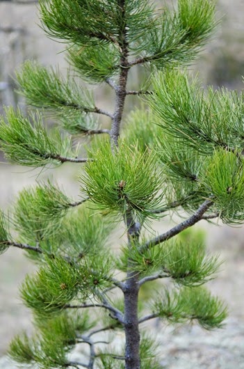 [Monday-Hike-111%255B9%255D.jpg]