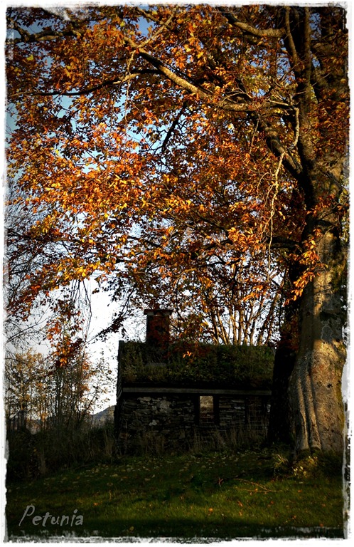 [Oktober%25202011%25203%255B5%255D.jpg]