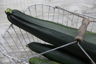 courgette