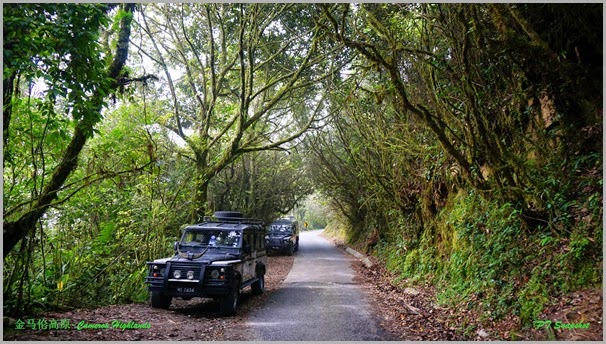 Gunung Brinchang Gunung Brinchang