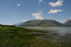 DSC_2399.JPG