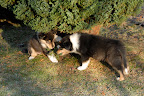 _DSC0037.JPG