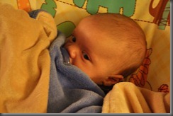 8 weeks 047