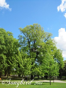 [Stockholm-138.jpg]