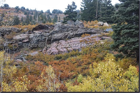 DSC_0046 DSC_0046