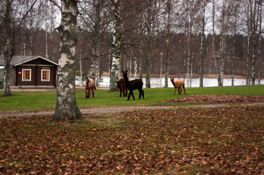 [IMG_4218%255B4%255D.jpg]