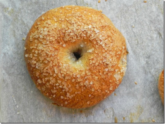 whole-wheat-sea-salt-bagel-1 whole-wheat-sea-salt-bagel-1