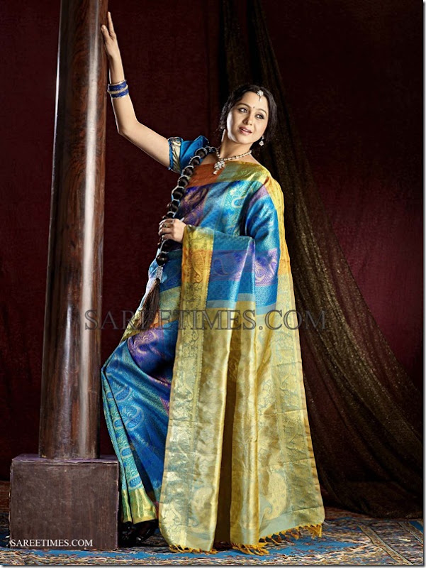 Devayani_Saree_Ad_Photoshoot (3)