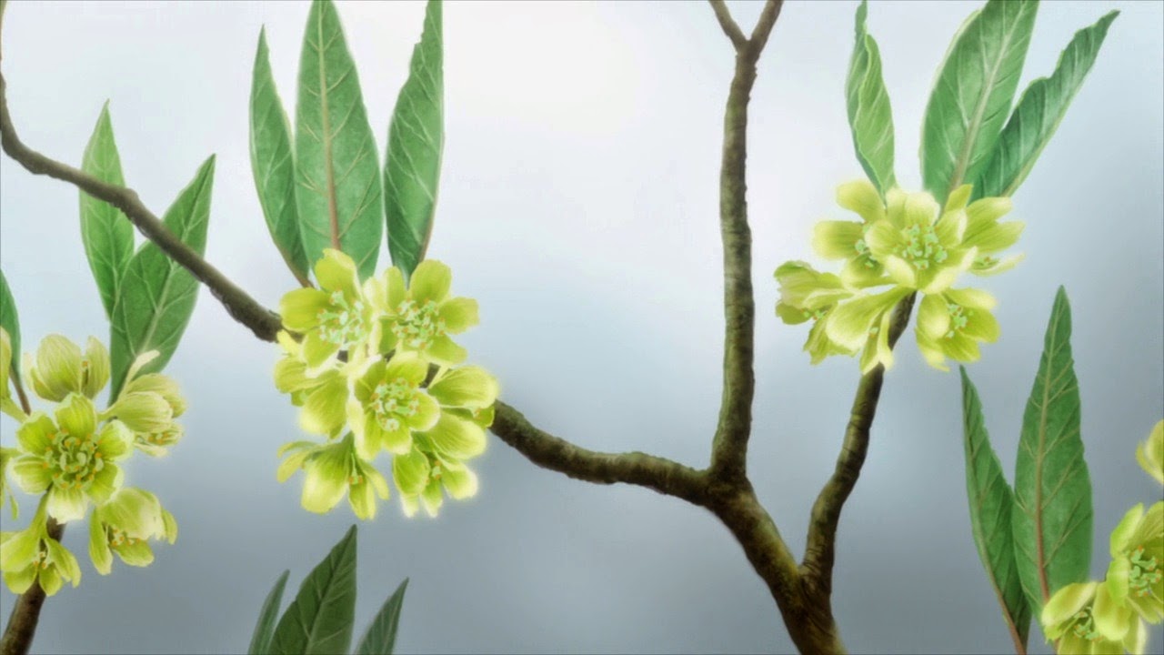 [Mushishi%2520Zoku%2520Shou%2520-%252010%2520-%2520Large%252035%255B2%255D.jpg]