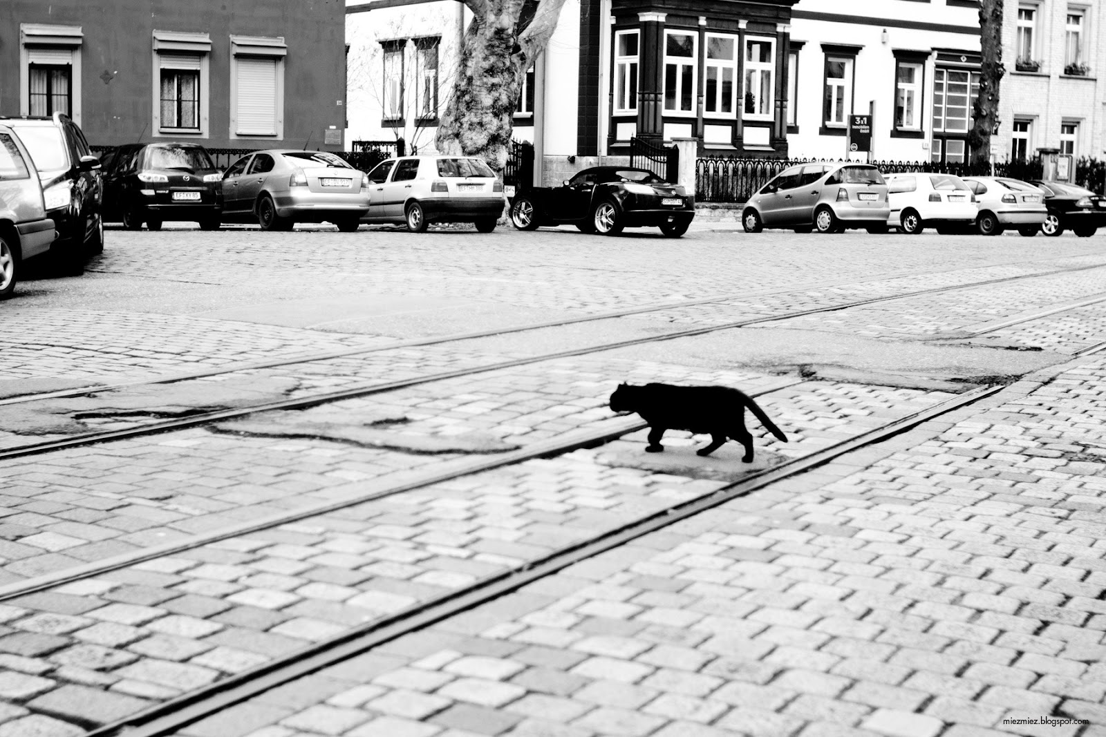 [IMG_20120308_143430_1543%255B2%255D.jpg]