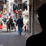 IMG_8316.jpg